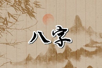 四柱结构：年月日时的分工