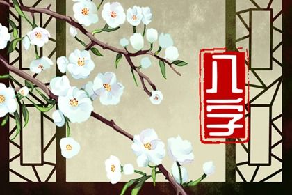 柱位与宫位的配合