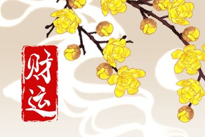 两套体系的阴阳观