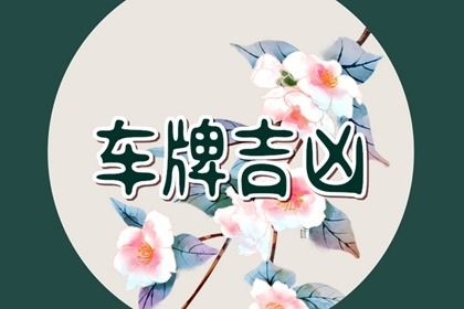 数理的数学性弱
