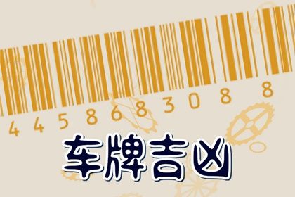 号码与人的关系