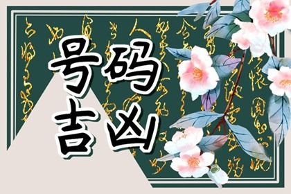 尾号谐音的解读