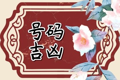 梦到数字怎么办