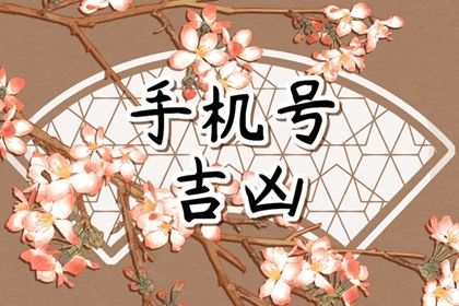 卦象与号码的逻辑