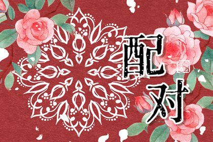 命宫与宅卦的关系