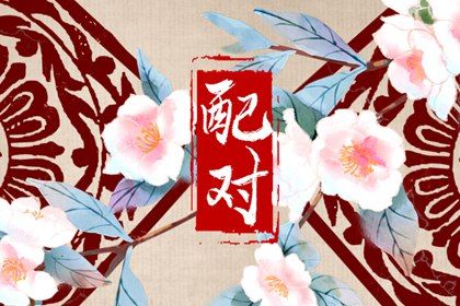 查车牌号吉凶查询系统 机动车牌号吉凶预测 测试车牌号吉凶查询 摩托车牌号码吉凶测试