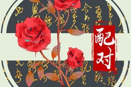 传统黄历|通胜择日黄历吉日查询|日历2026年老黄历|今日宜事黄历|择吉老黄历皇历