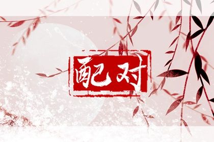 九紫离火大运 大运神煞 测算命运运势 运势流年