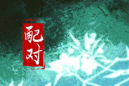 生肖测姻缘 情感配对 配对生肖配对 配对姻缘测试 真实测姻缘