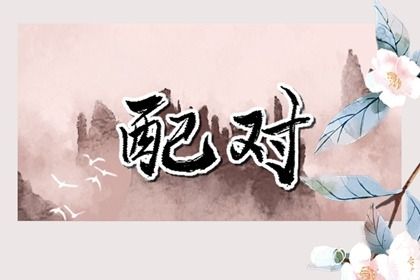 财务协调的位置