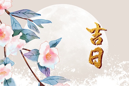 越贵的服务越好吗