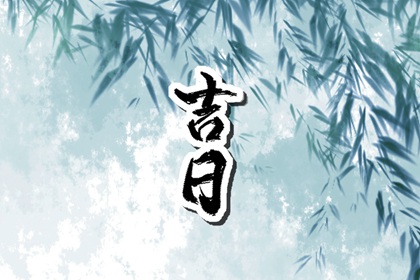 冲了生肖有无化解