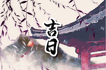 打分字段动态吗
