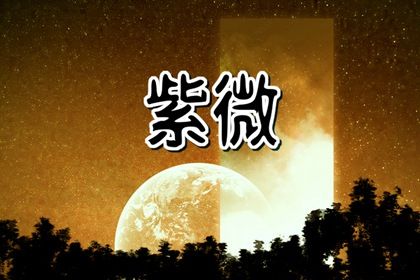 星宿属性一栏怎么用