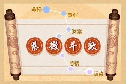 在线查询的信息从哪来