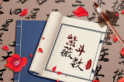 斗数能看哪些方面