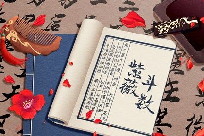 紫微入命就大富大贵