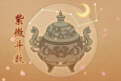 紫微算命还是算势